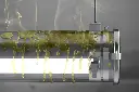 qra1a9ig8wpqcu8[1].webp