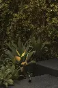 extaHR0cHM6Ly9kN3JoNXMzbnhtcHk0LmNsb3VkZnJvbnQubmV0L0NNUDQxMTQvUFIyMDY3MDlCSTgyMzA5Xzc1MzAwXzIzM19QVUtfUFJPWUVDVE9SX05FR1JPX0xFRF9PMzZfNFdfMzAwMEtfNDBkZWdfMjRWX1NaNC5qcGc=[1]