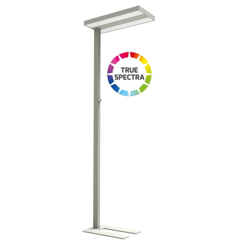 Lampadaire à LED ASSISTsunlike 60W CRI95 5500K dimmable