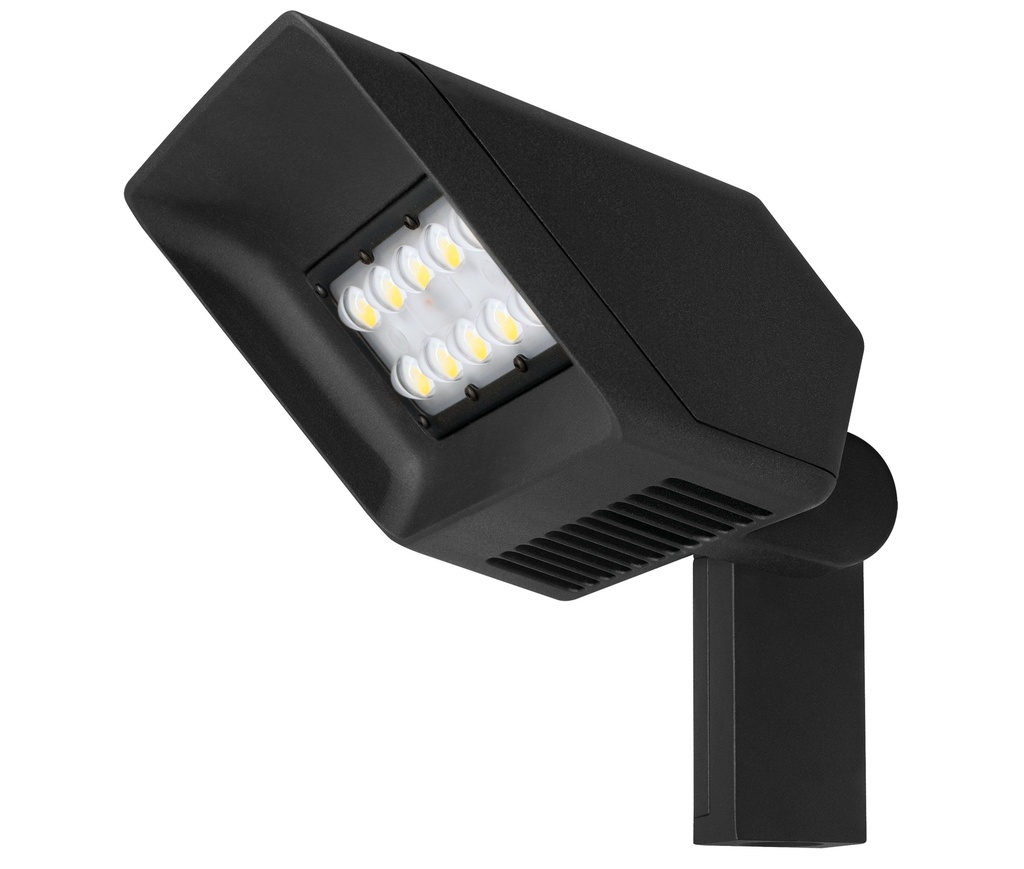 PROJ. TAG LED 30W/3000K NOIR