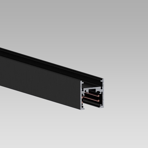 [ARC0191027X-11] BINARIO 48V L=2MT DALI H BIN+IND ST6