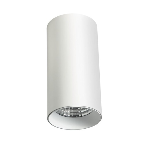 [DX4356-030036] Luminaire LED SLIMvario Ø80x160mm 18W 3000K blanc