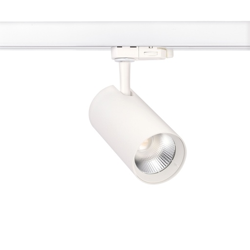 [ARI51566] POLARIS 023 45° 10/15W 3CCT BL