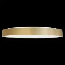 [S40-33023-606DIG] MODUDISC Ø600mm, DALI2/Push, Or brossé